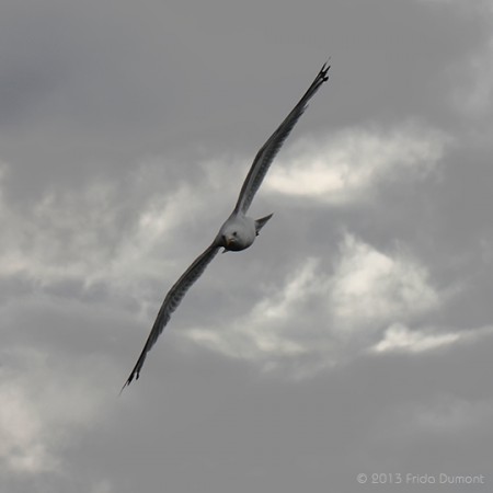 Belle-Île, Bretagne